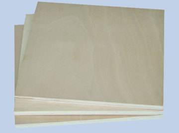 birch commercial plywood paving line step
