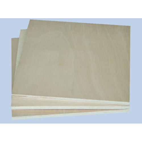 birch commercial plywood paving line step