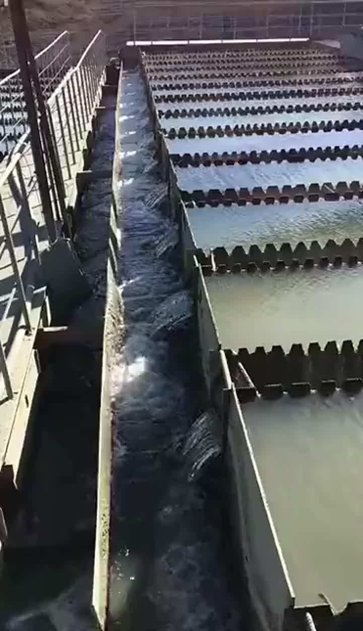 Sites de corrida para purificador de água do lago