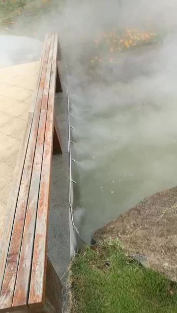 park MISTING