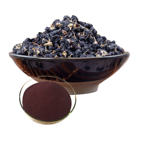 Black Goji Berry Extract Powder