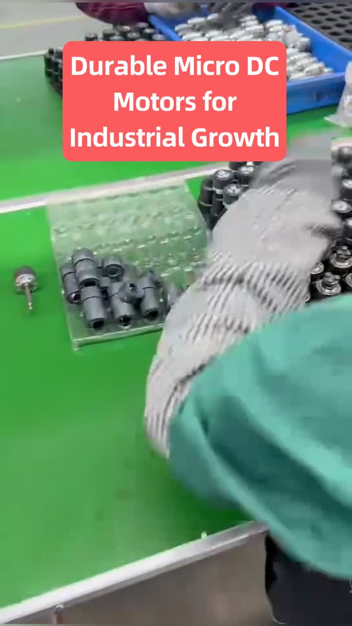 ไมโครมอเตอร์ชั้นยอดร่วมมือกับแบรนด์ใหญ่