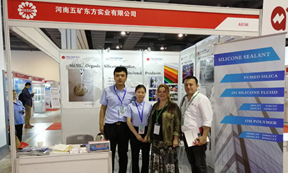 2019 Shanghai Silicon Ausstellung