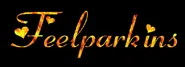 Lancheng Feelparkins Auto Parts.,Ltd