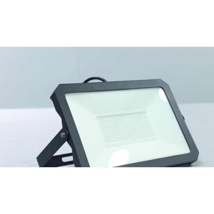 LED Flood Light