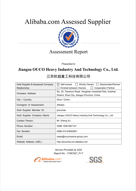 SGS ASSESSMENT REPORT