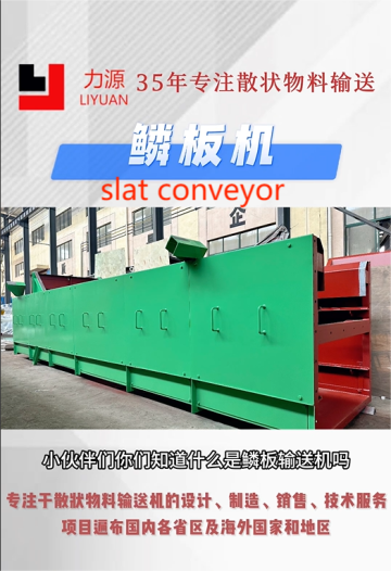 Chain Plate Conveyor Belt
