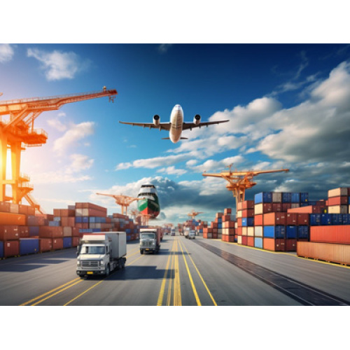 سوق الثوم 2026 يستقر مع توازن العرض والطلب: ديناميكيات التصدير واتجاهات القيمة المضافة تدفع النمو