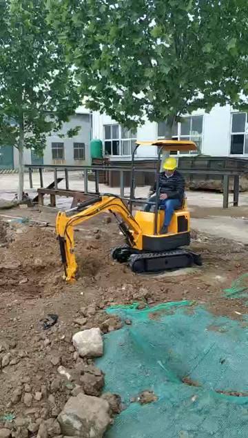 mini excavator xn08 with eap gas engine (3)