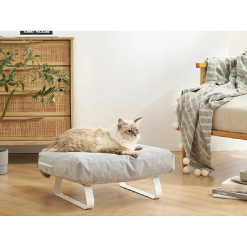 Global Pet Sofa Industry Grows Steadily: Sustainability, Customization and Pet Humanization Drive 2026 Trends