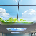 2x2 LED Ceiling Sky Panel Light - 220V DIY Decorative Recessed 30120 25w 30w 36w1