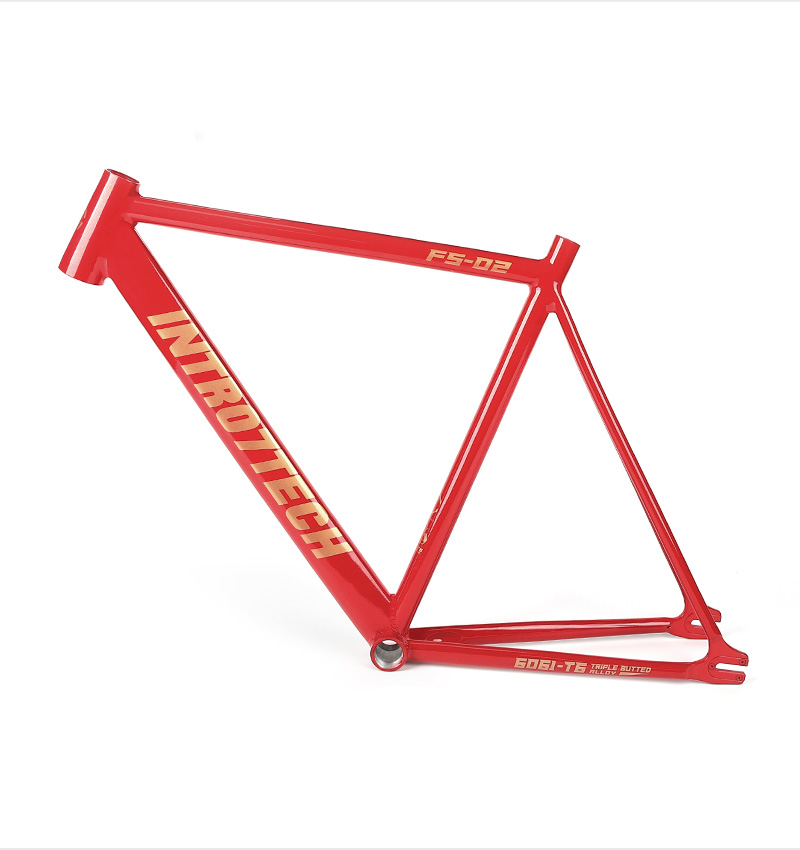 Fixed Bike Frame