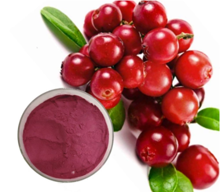 kinds specification cranberry extract cranberry powder