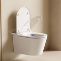 S030 Intelligent Smart Bidet Toilet with Automatic Sensor Flushing and Remote Control1