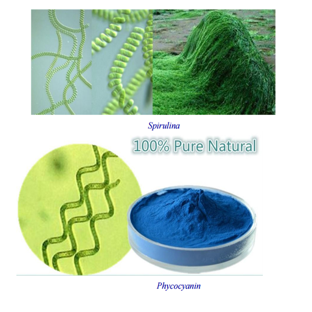 Natural blue pigment 50% organic phycocyanin powder