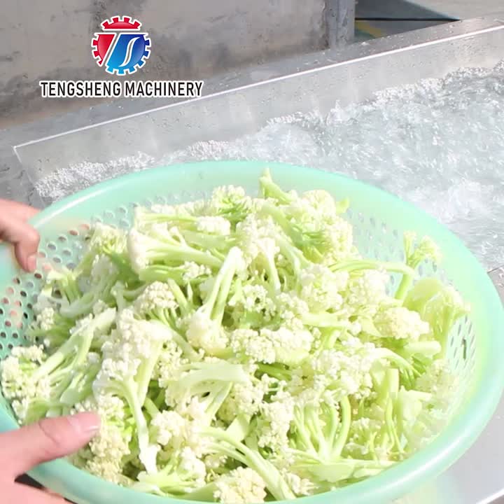 Máquina de lavar vegetais comercial tipo ciclone TS-X680S