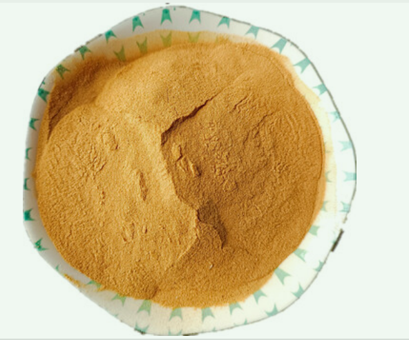 Corn Steep Liquor Powder 42%