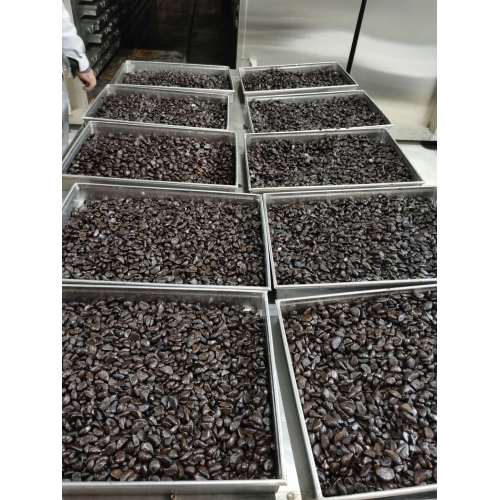 The customer who purchased our 4 sets black garlic machine finished the first batch production