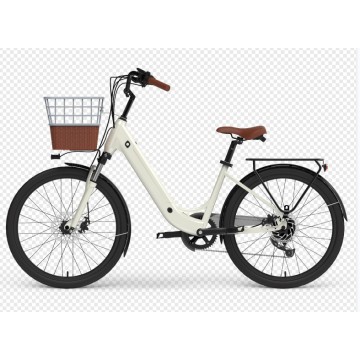 China's Electric Bicycle market share soared: foreigners are afraid!