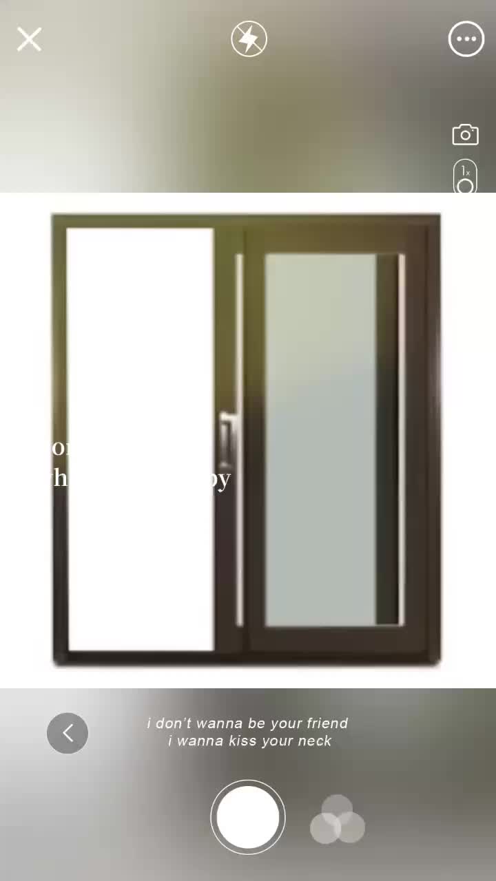 Aluminum Sliding Doors