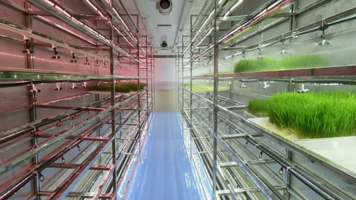 Видео внутреннего опрыскивания на кормовом заводе 4