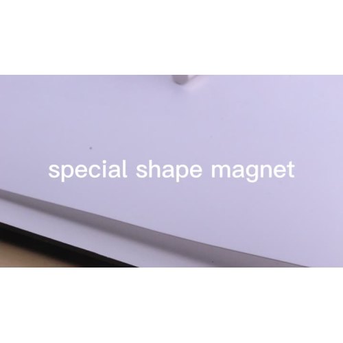 Spezialformmagnet