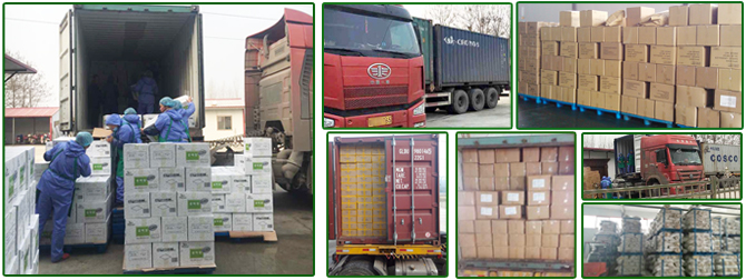 Huaiyang County Wanyuan Garlic Foods Processing Industries Co.,Ltd