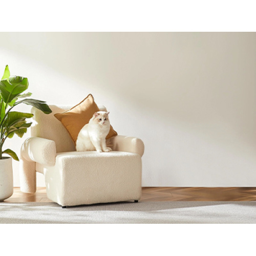 Smart Home Products Gain Popularity Driven by Policy and Tech Integration