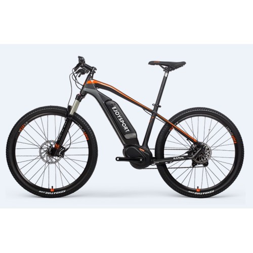 Lixa 11 Geschwindigkeit und Ebike -Motor