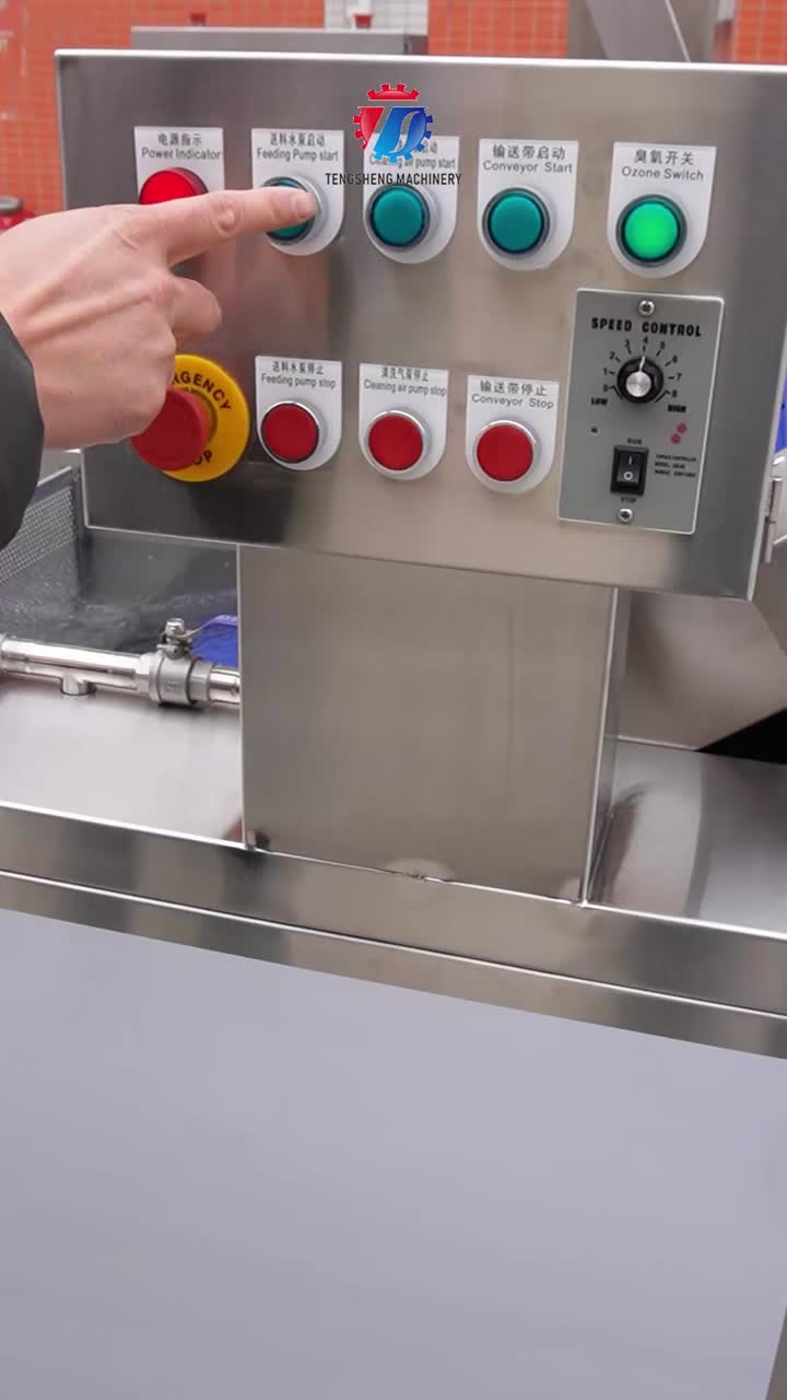 TS-X200: Melhor escolha para limpeza de vegetais verdes