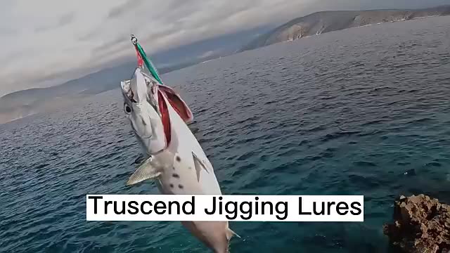 Το Truscend προωθήστε χονδρική πώληση εργαλείων Hard Metal Fishing Lure Saltwater Jigs Freshwwater για Fishing Lure1