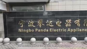 Panda Storefront Signage