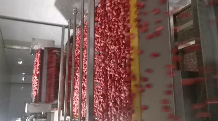 IQF strawberry production line (freezing)