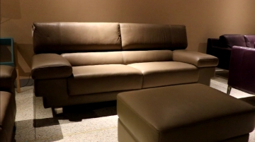 Adjustable Headrest Sofa