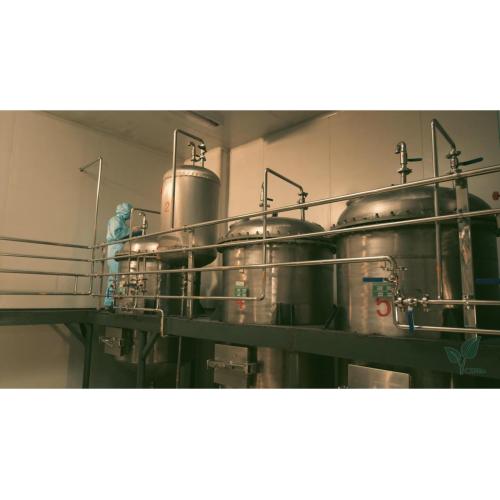 Chinese Medicine Oil