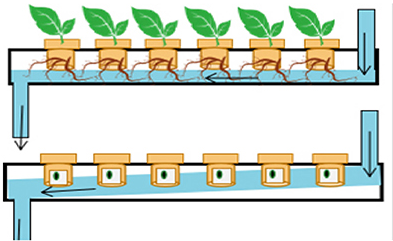 hydroponics 9