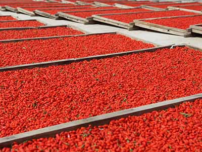 Yinchuan Qi Li Xiang Trading Co., Ltd.