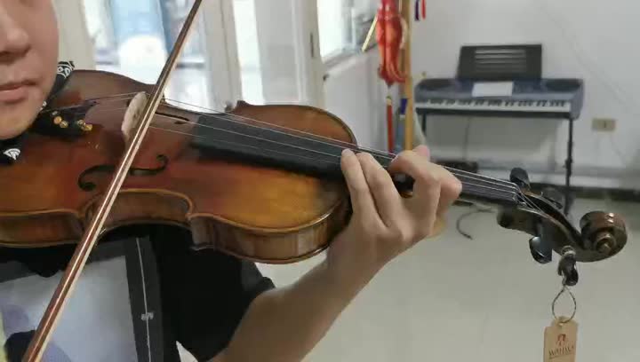 Un violín de nivel