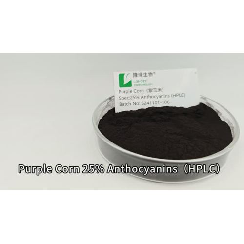 Purple Corn 25% Anthocyanin