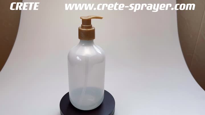 Bouteille de shampooing 2014-300ml 500 ml