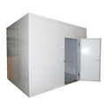 Banana and Chicken Cold Storage: Refrigerator and Freezer Solutions1