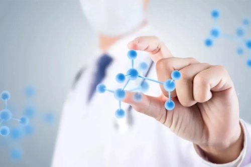 8 Plants That Boost Immunity: Exploring the Power of Nature