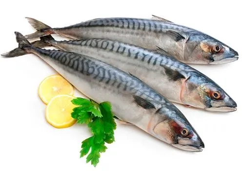 Why is the production of mackerel not high this year?