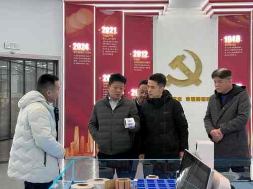 Задълбочете сътрудничеството, печелете заедно в чужбина | Haikang Bori и Xuzhou Post проучват трансграничното логистично сътрудничество