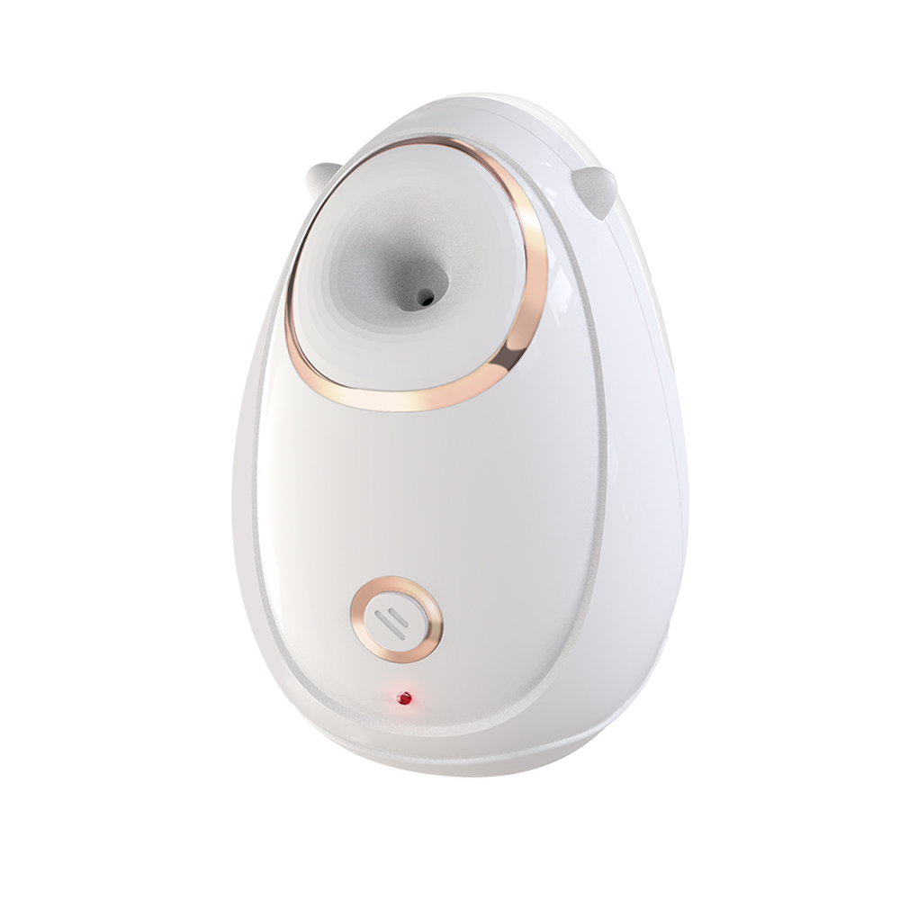 Face steamer BFS01