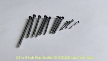 Flat Head Checkered Iron Iso Standard Brad Common Nail with Flat Smooth Shank1
