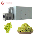 High Quality Low Price Betel Nut Grape Tea Drying Machine1