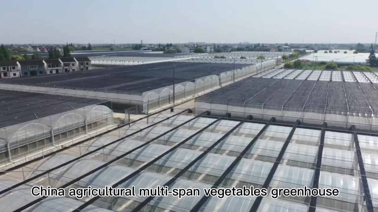 Nouveaux produits agricoles de style chinoise Multi Span Film Greenhouse utilisé à la vente1
