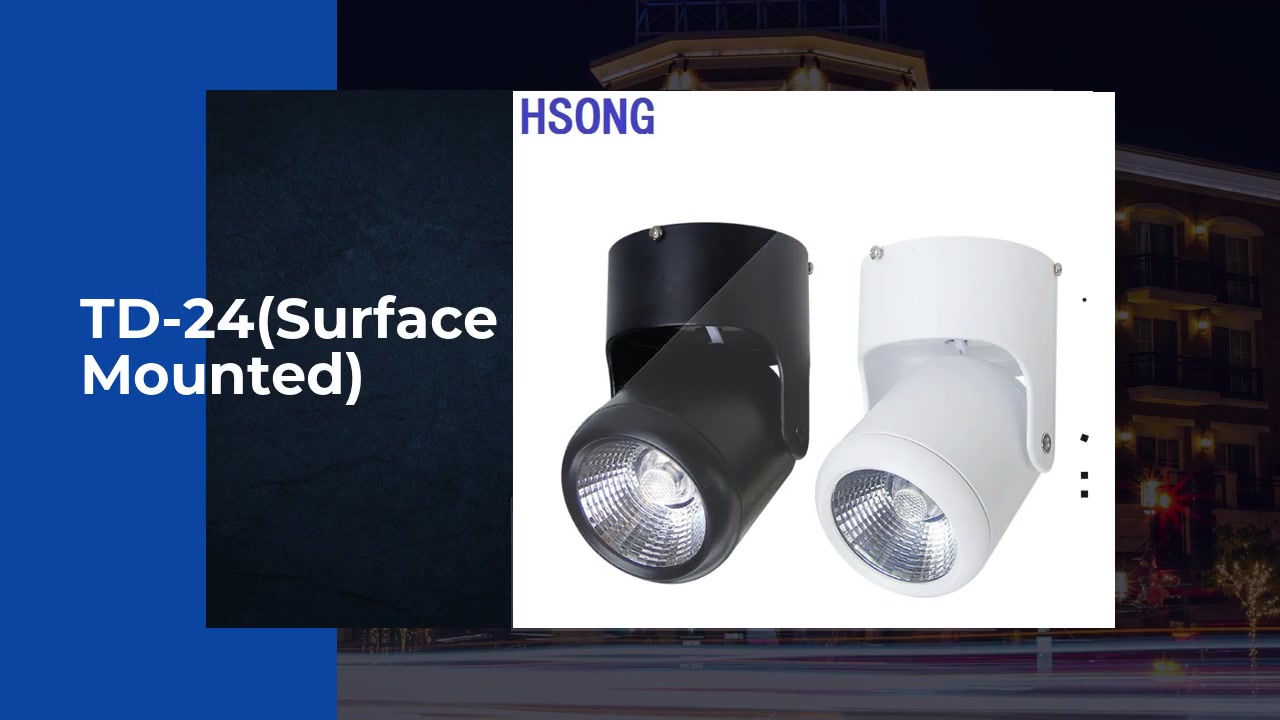 Recessed Downlight  new modern interior led ip65  Surface  Mounted downlight supplier& manufacturers-Hsong Lighting1