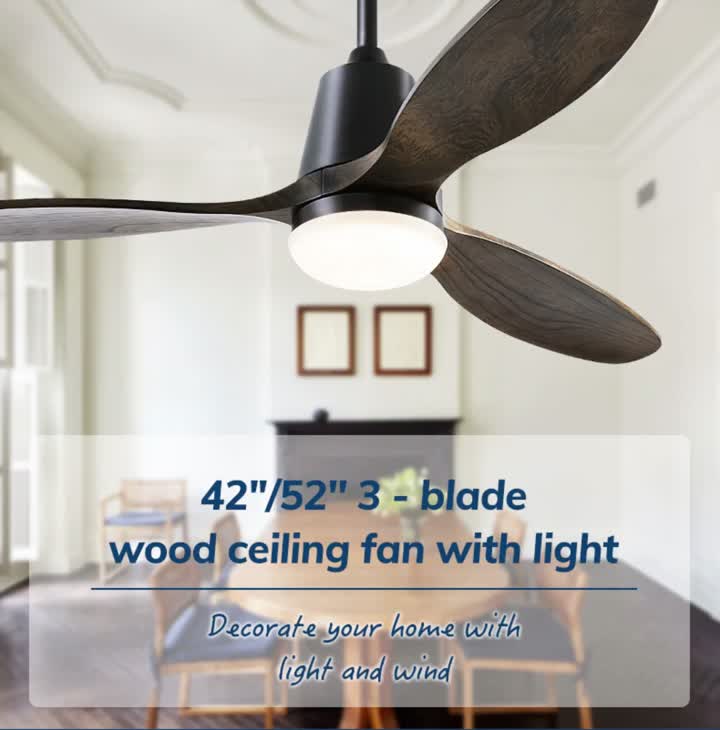 Профессиональный потолочный вентилятор со светом и дистанционным управлением